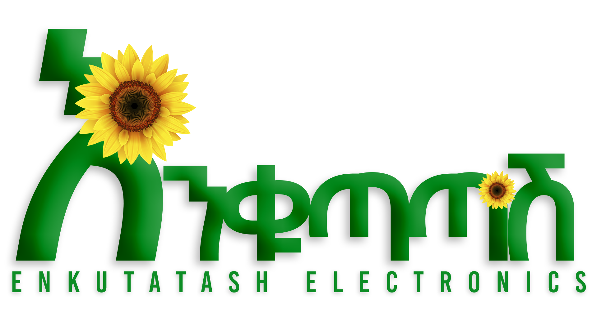 Enkutatash Ectronics case study